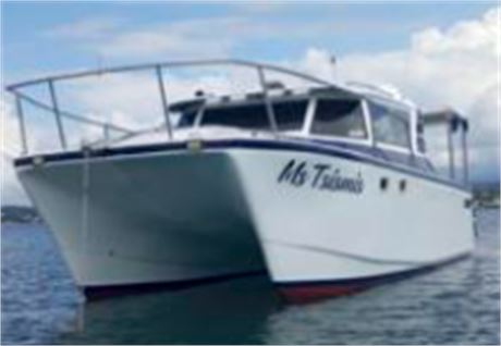 2024 ArrowCat 30 Power Catamaran for Sale in the Philippines