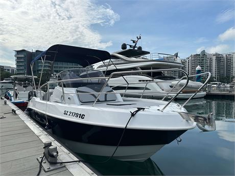 Brand new! Italmar WA 22 Plus